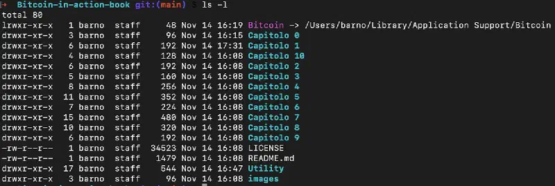 Bitcoin In Action — SegWit, Bitcoin Script & Smart Contracts