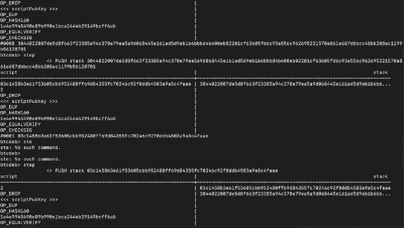 Stack ottenuto con il parametro debug